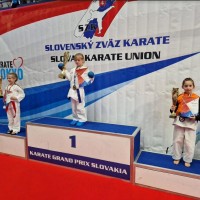 44 grand prix slovacka sl2